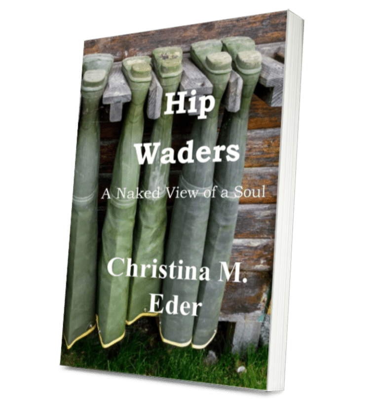 Hip Waders_ A Naked View of a Soul cover